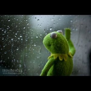 Meet your Posher, Jamal